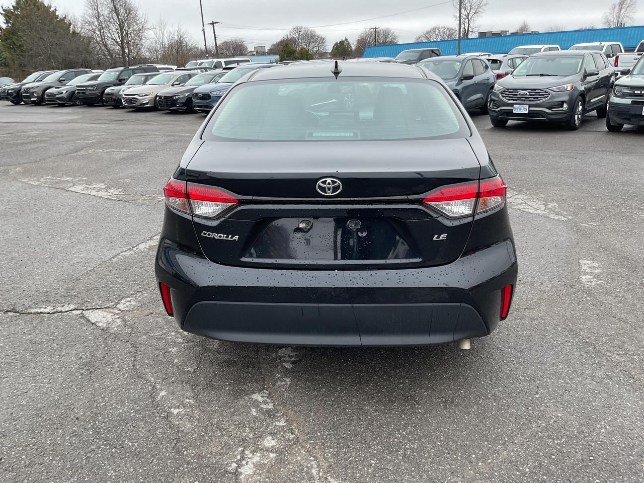 2023 Toyota Corolla  Photo