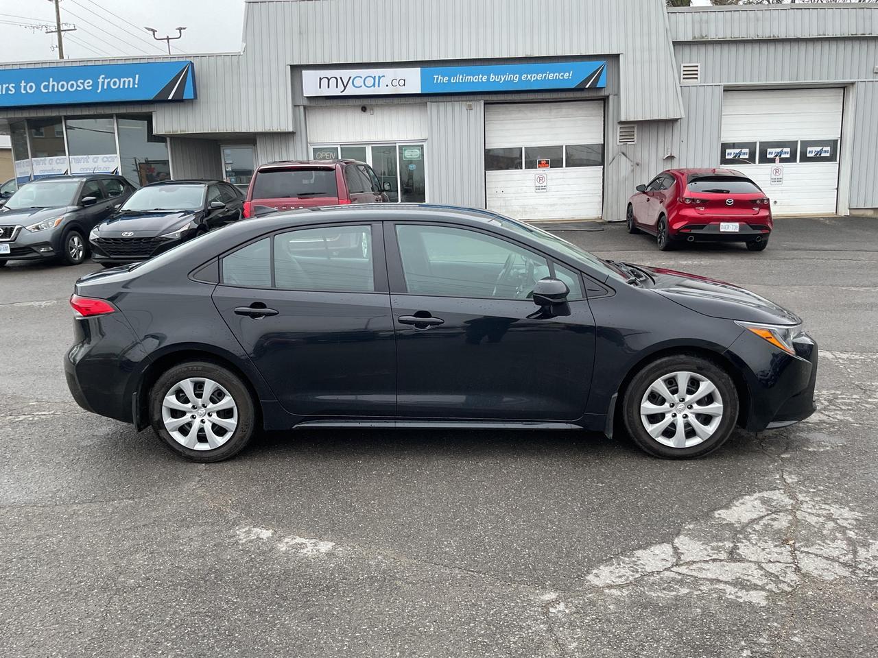 2023 Toyota Corolla  Photo