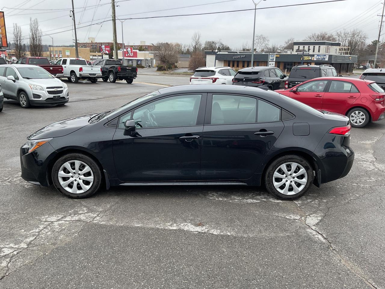 2023 Toyota Corolla  Photo