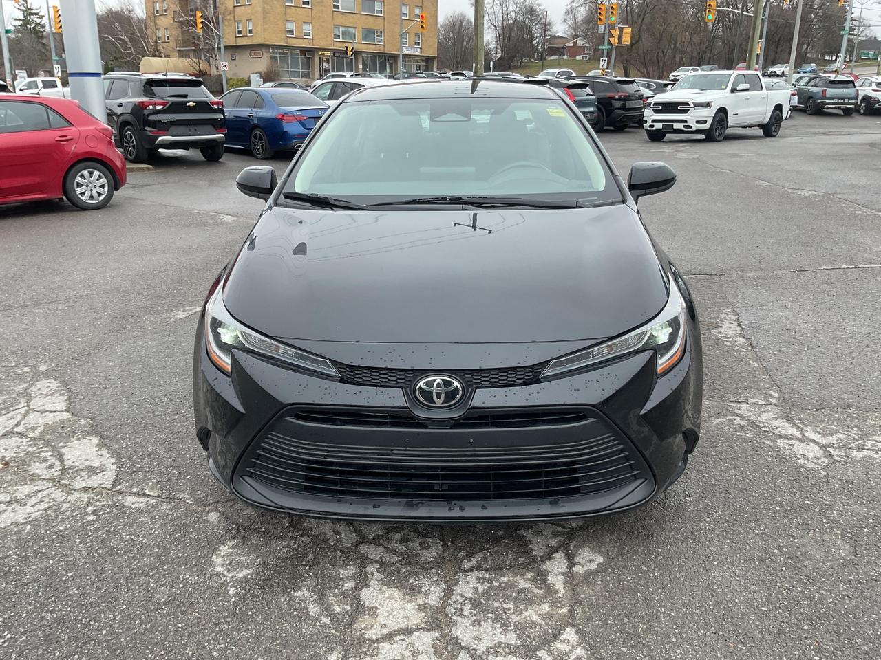2023 Toyota Corolla  Photo