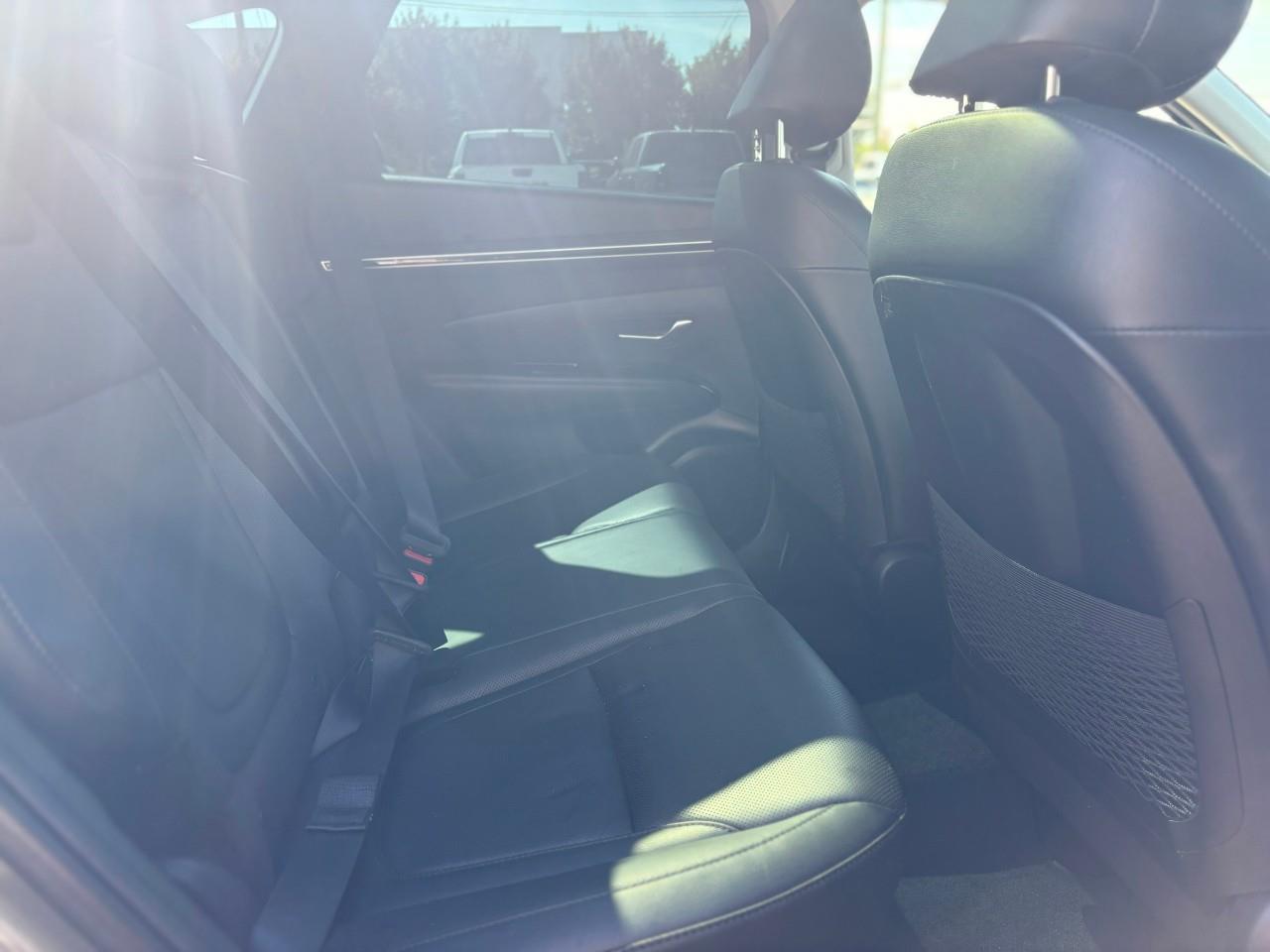 2023 Hyundai Tucson  Photo