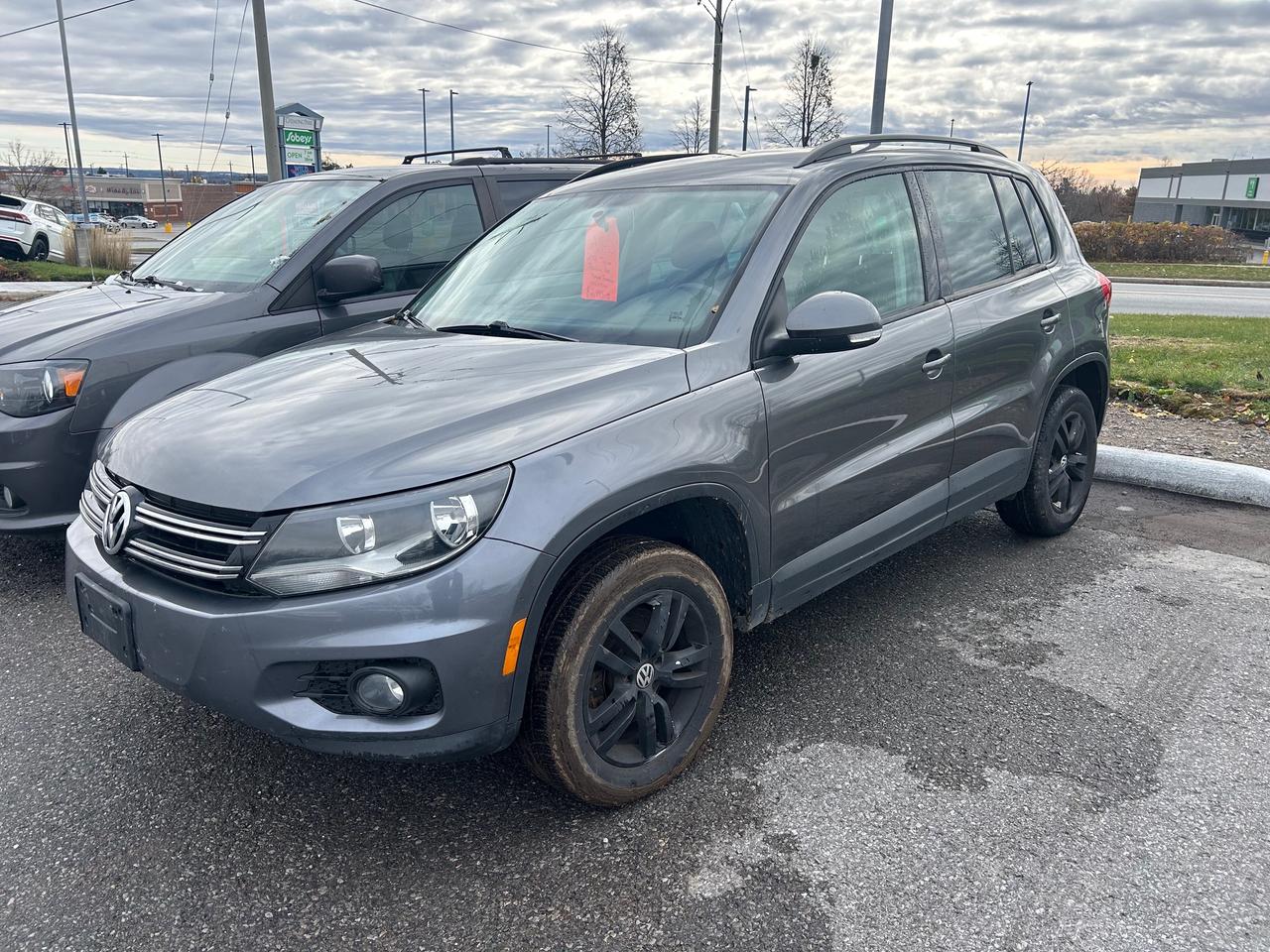 2014 Volkswagen Tiguan Trendline (M6) 4dr Front-Wheel Drive Photo