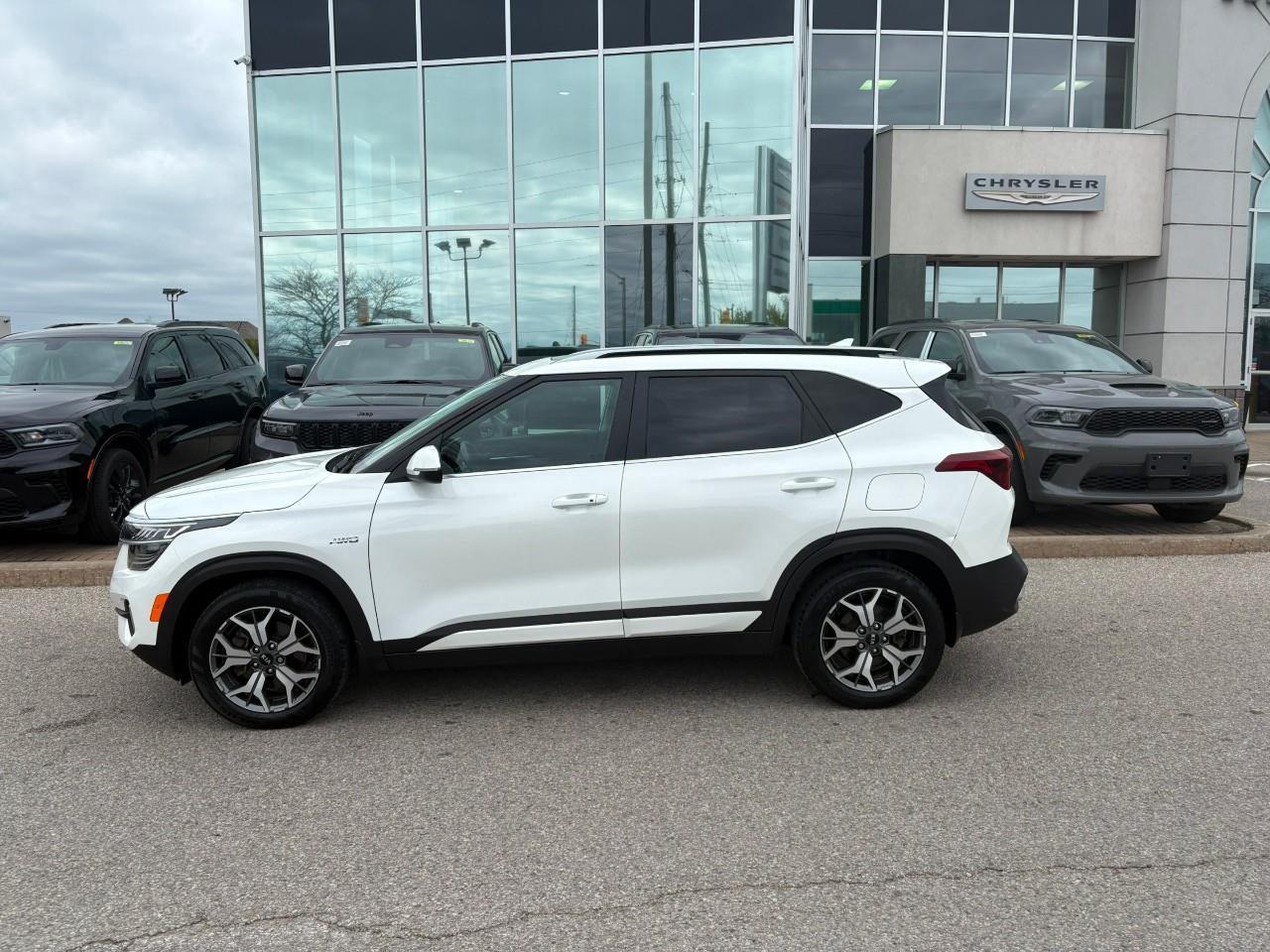 2021 Kia Seltos EX 4dr All-Wheel Drive Photo