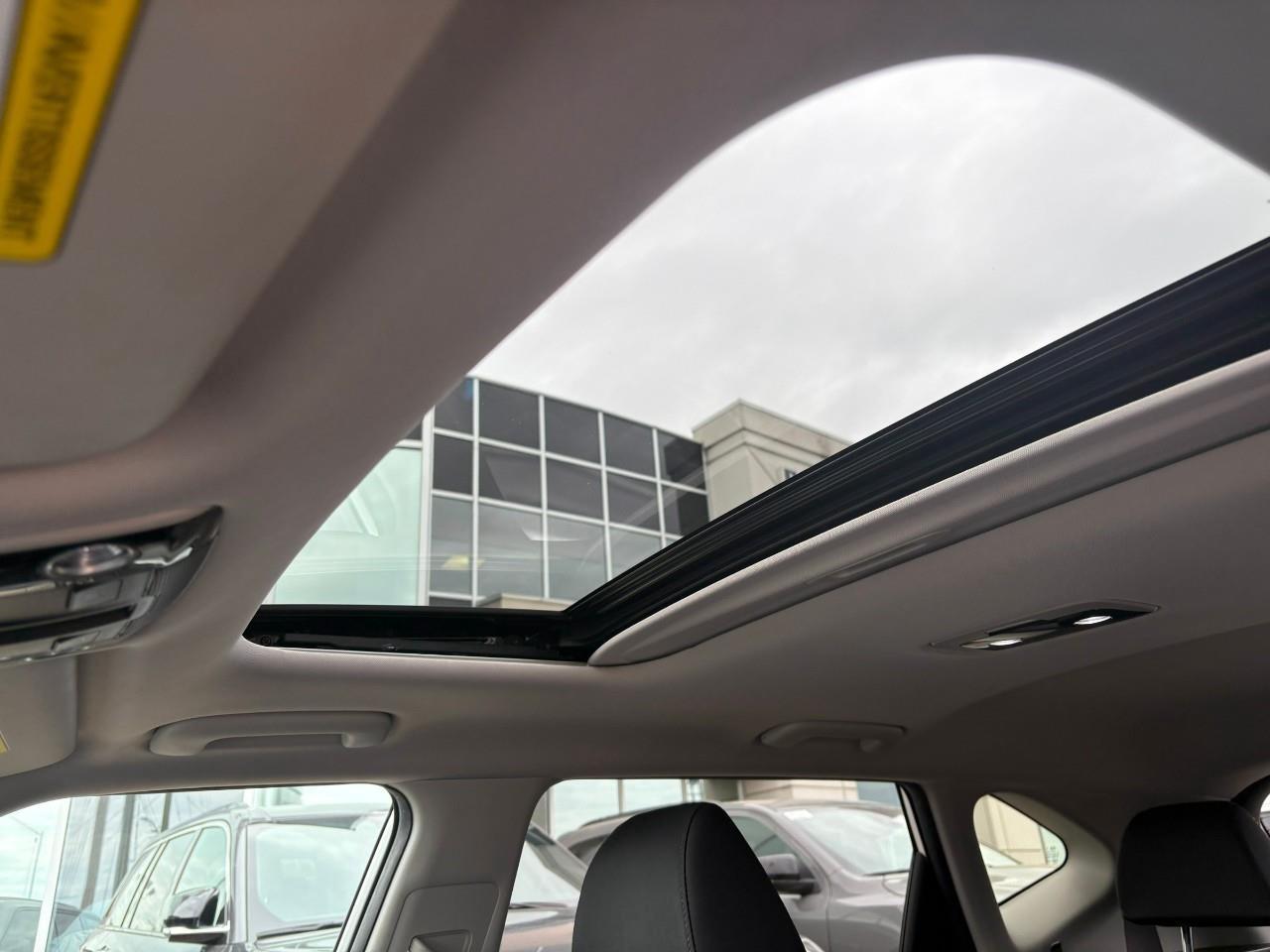 2021 Kia Seltos EX 4dr All-Wheel Drive Photo