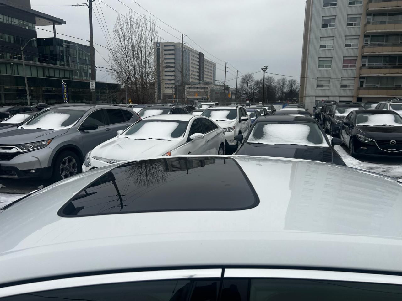 2017 Audi A4 4dr Sdn Auto Progressiv quattro Photo