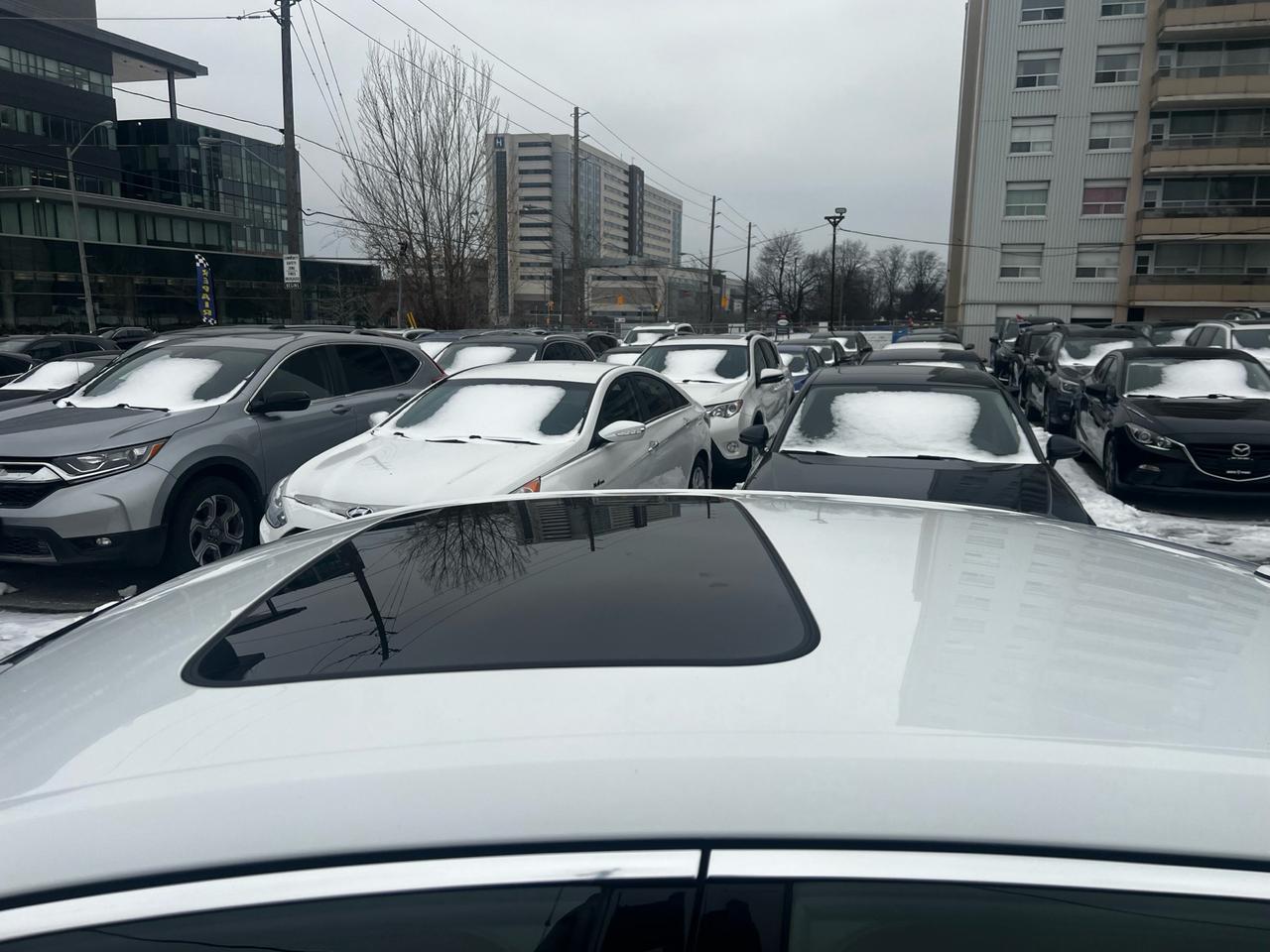 2017 Audi A4 4dr Sdn Auto Progressiv quattro Photo