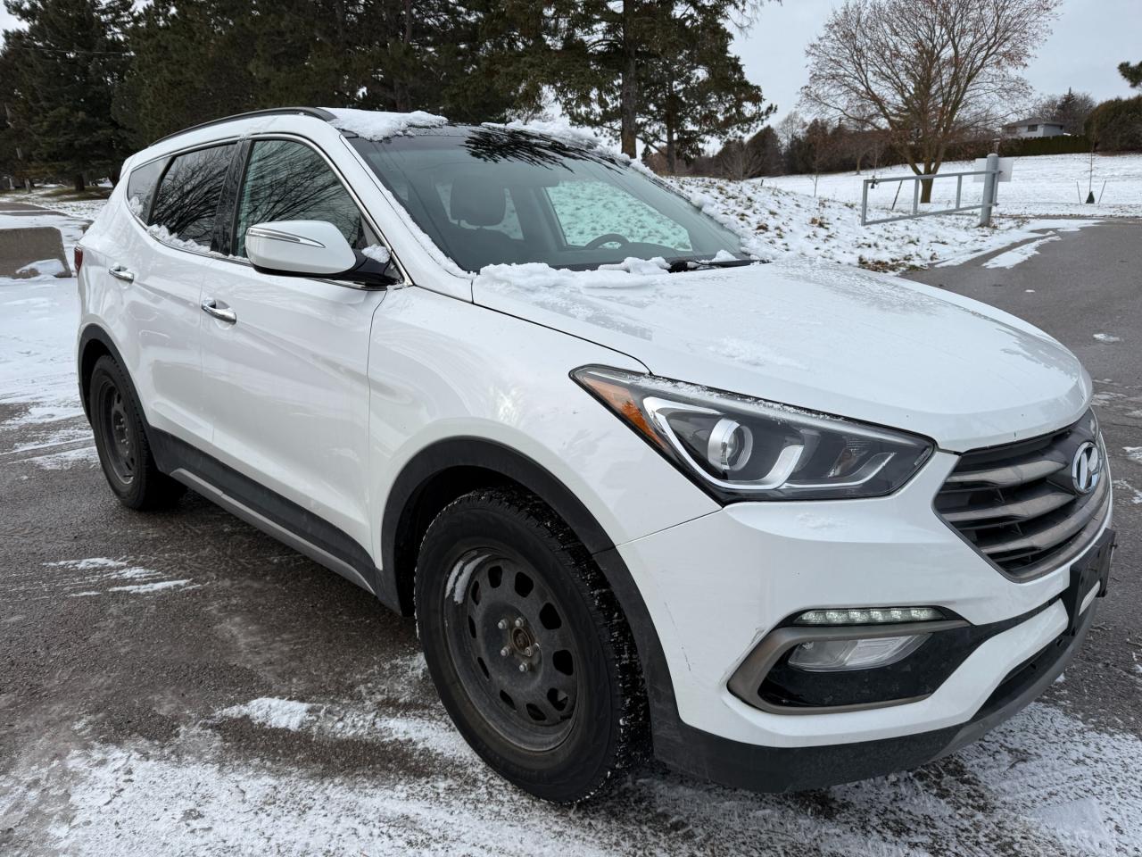 2018 Hyundai Santa Fe Sport 2.0T SE 4dr All-Wheel Drive Photo