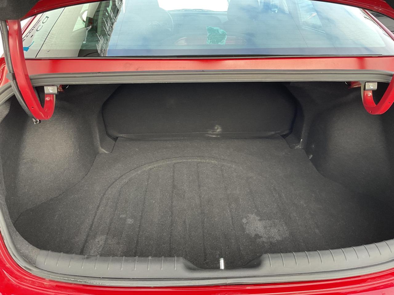 2024 Hyundai Elantra  Photo