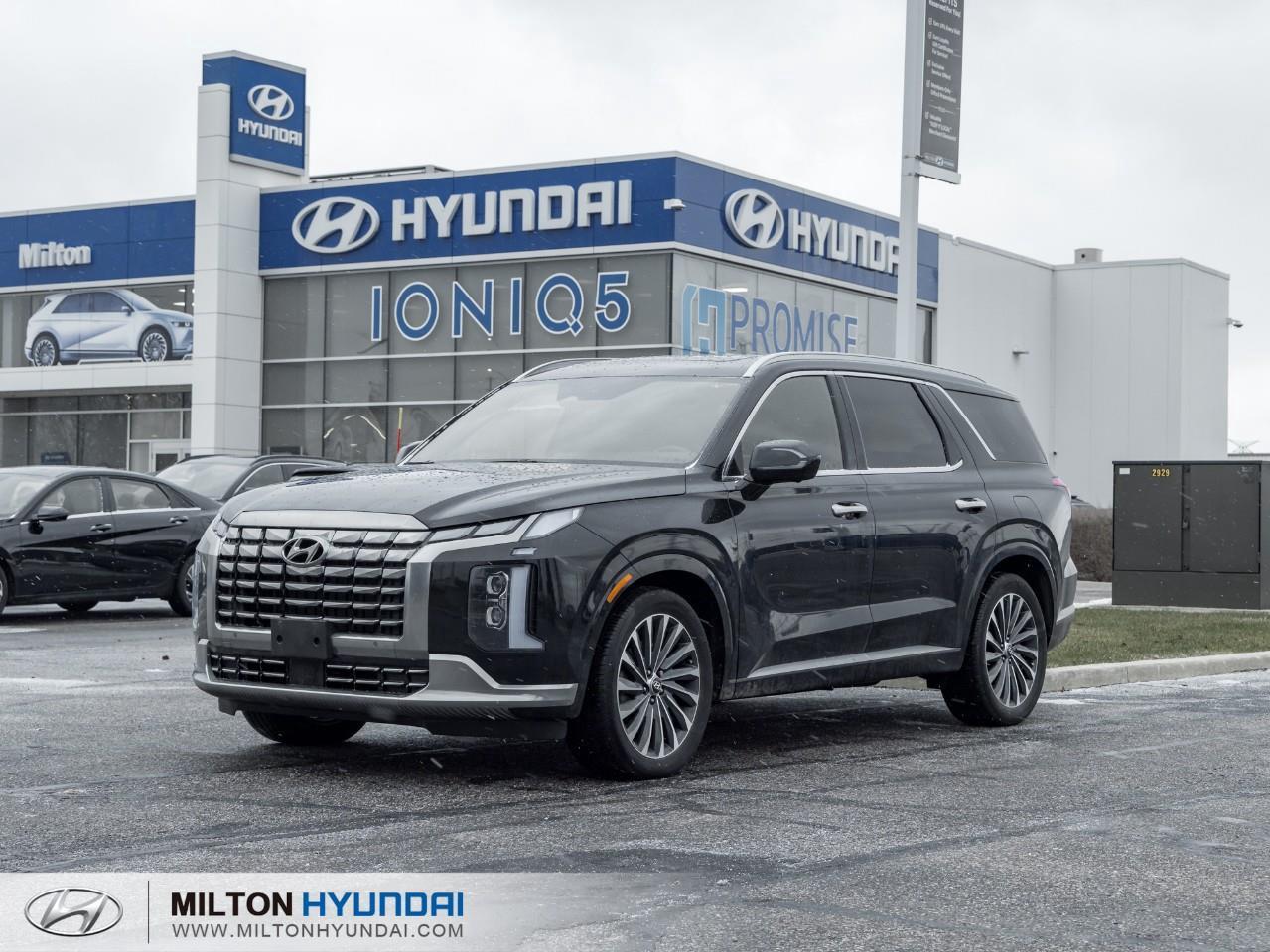 2024 Hyundai PALISADE Ultimate Calligraphy 4dr All-Wheel Drive Photo0