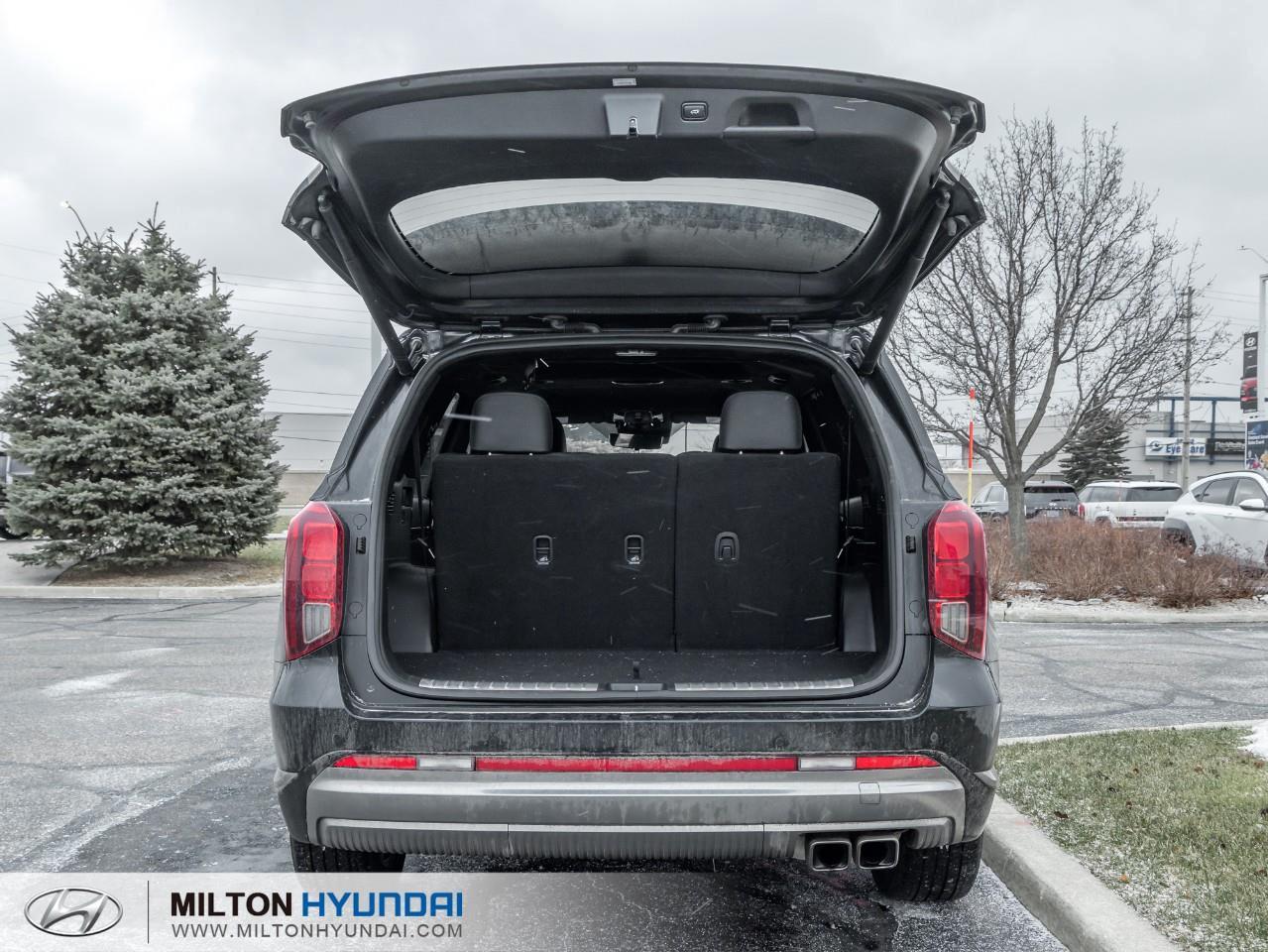 2024 Hyundai PALISADE Ultimate Calligraphy 4dr All-Wheel Drive Photo