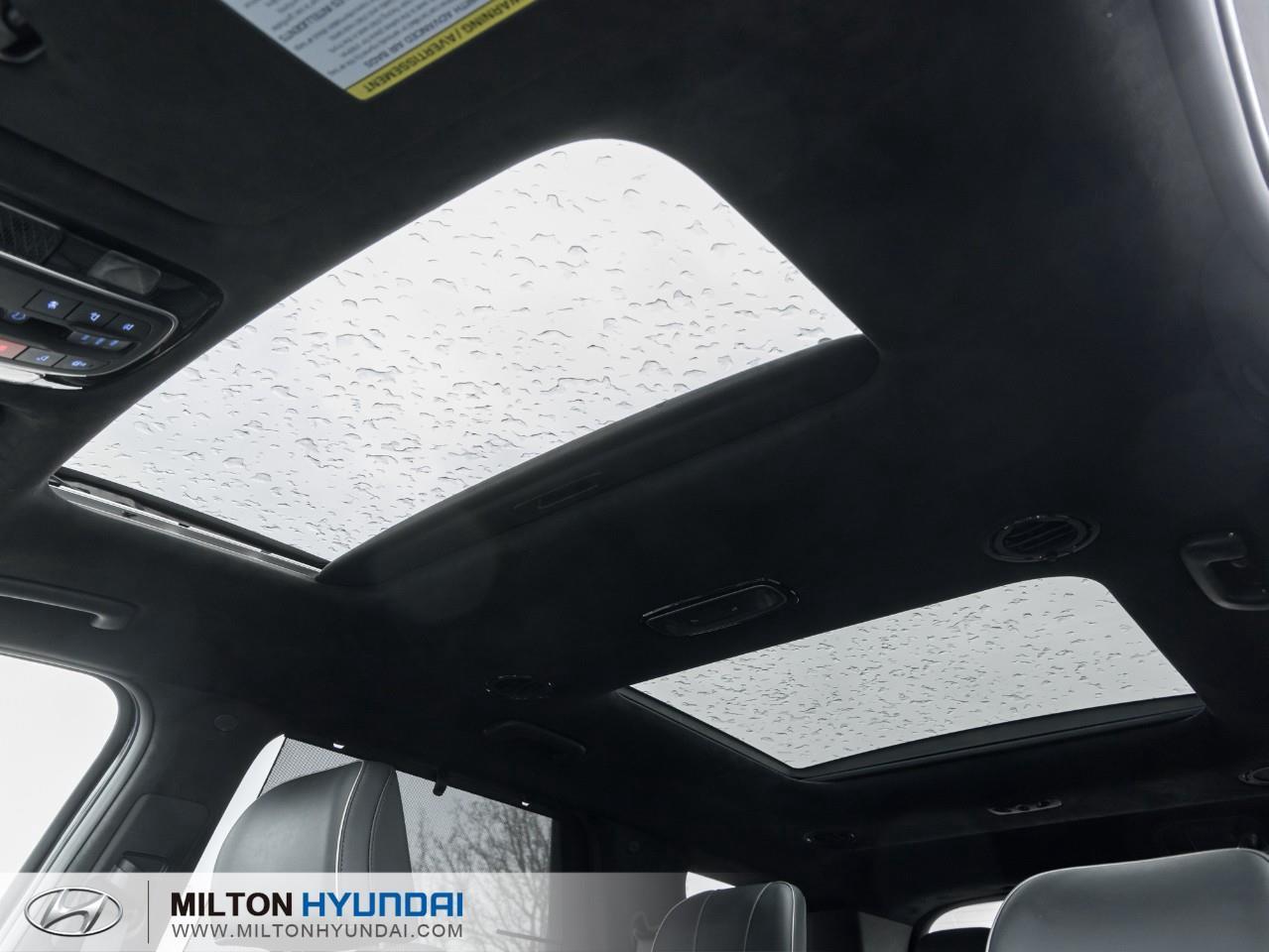 2024 Hyundai PALISADE Ultimate Calligraphy 4dr All-Wheel Drive Photo