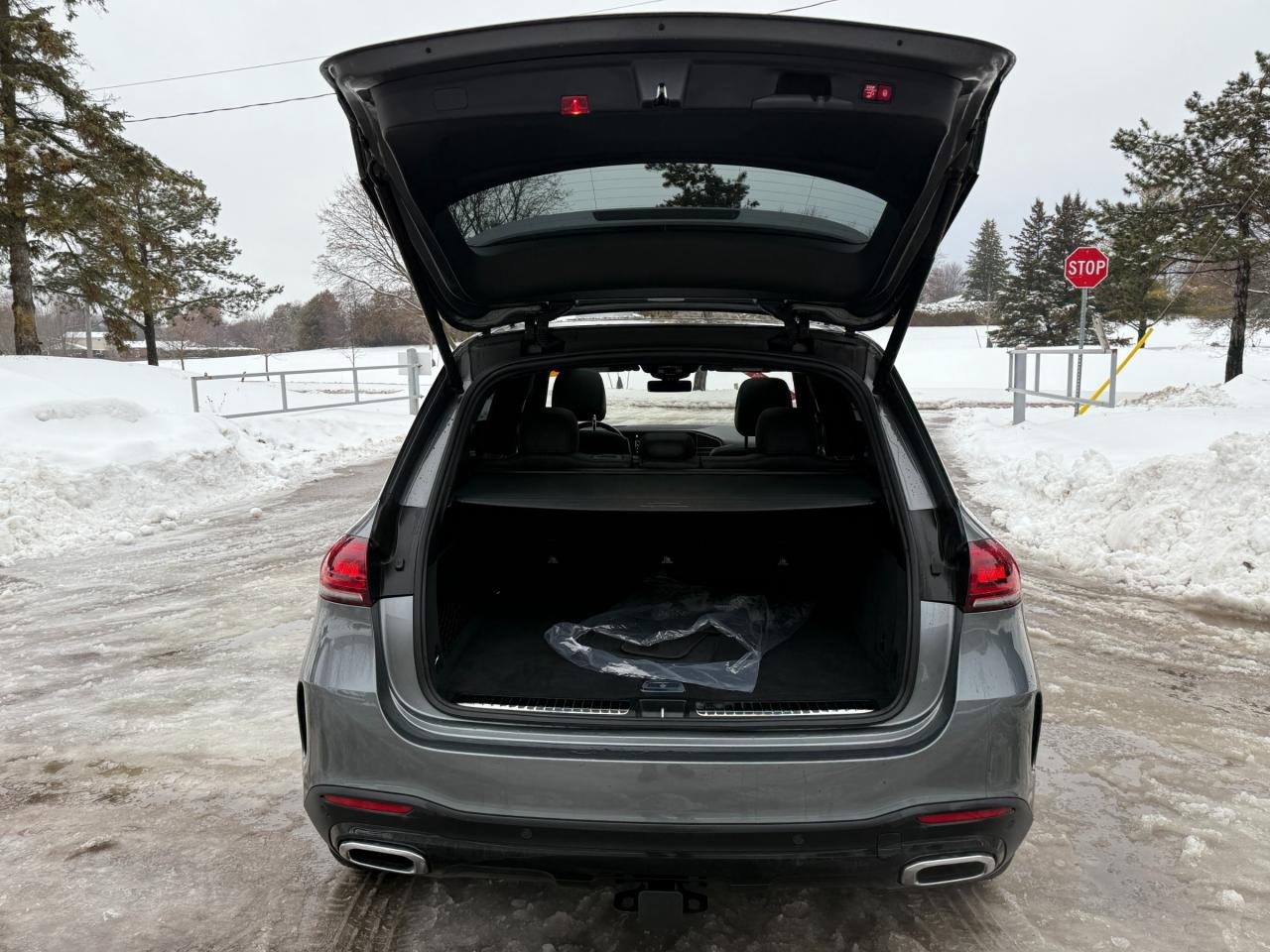 2020 Mercedes-Benz GLE 450 Base GLE 450 4dr 4MATIC Sport Utility Photo