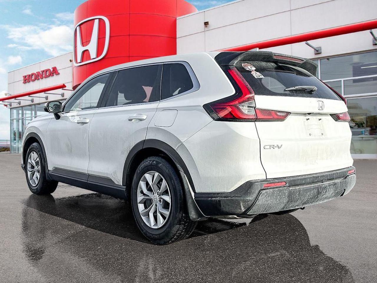 2023 Honda CR-V LX Photo