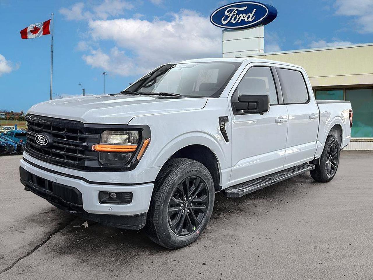 2025 Ford F-150 XLT   Demo Unit   MOONROOF   TRLR HITCH CLASS IV Photo
