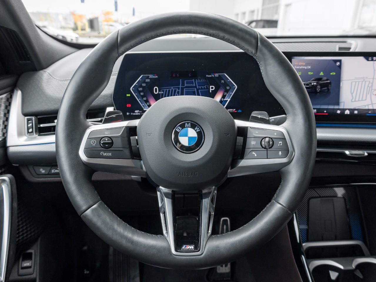 2025 BMW X2 xDrive28i 4dr All-Wheel Drive Sports Activity Coupe Photo