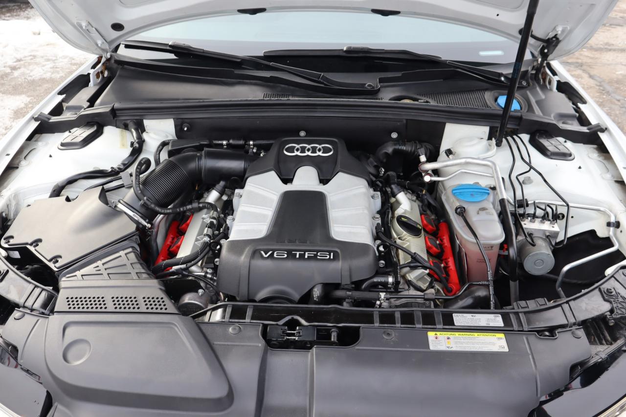 2016 Audi S5 3.0T Progressiv (S tronic) 2dr All-Wheel Drive quattro Coupe Photo