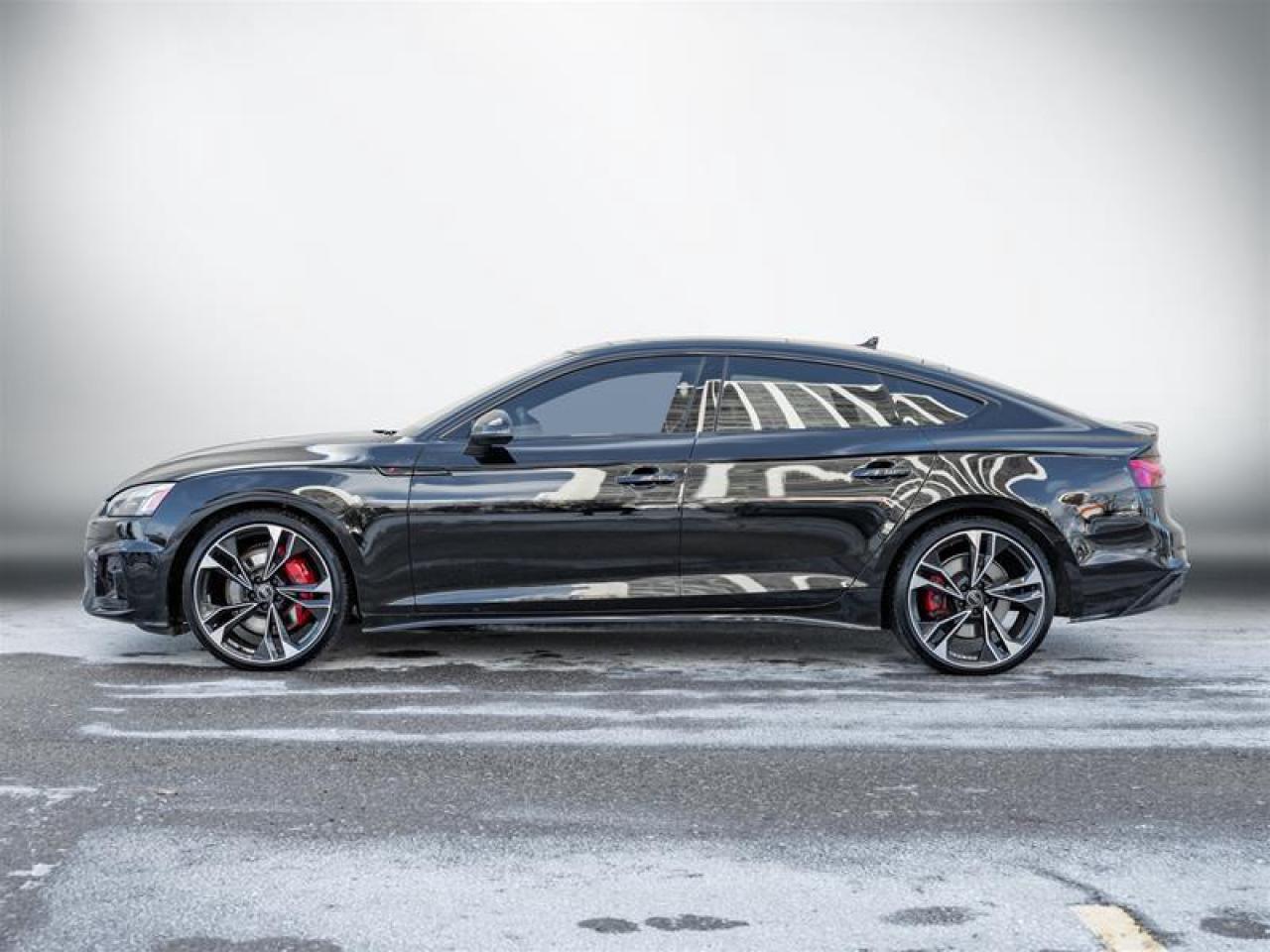 2024 Audi S5 3.0T Progressiv 4dr All-Wheel Drive quattro Sportback Photo