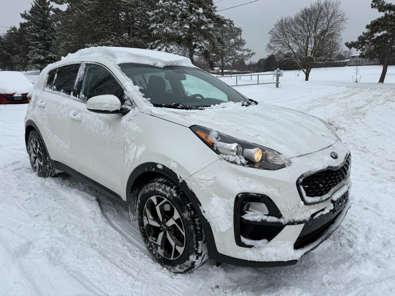 2020 Kia Sportage LX 4dr Front-wheel Drive Photo