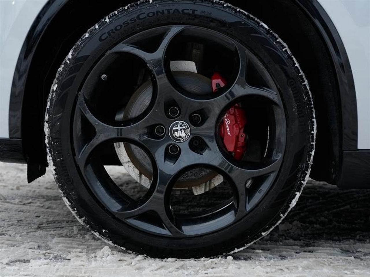 2025 Alfa Romeo Stelvio AWD Photo