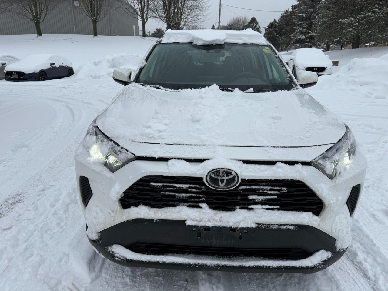2022 Toyota RAV4 XLE 4dr All-wheel Drive Photo