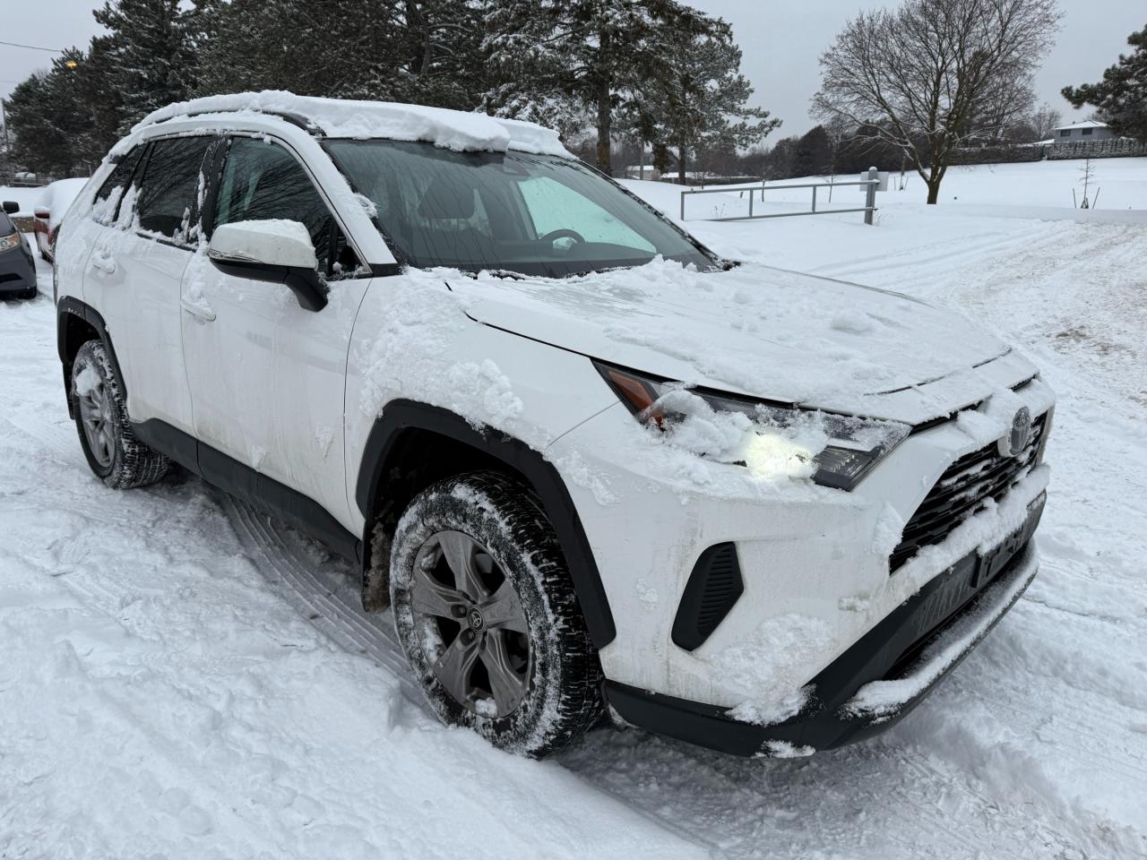 2022 Toyota RAV4 XLE 4dr All-wheel Drive Photo