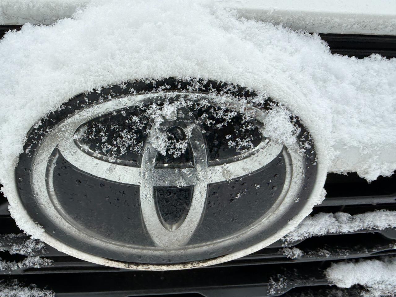 2022 Toyota RAV4 XLE 4dr All-wheel Drive Photo