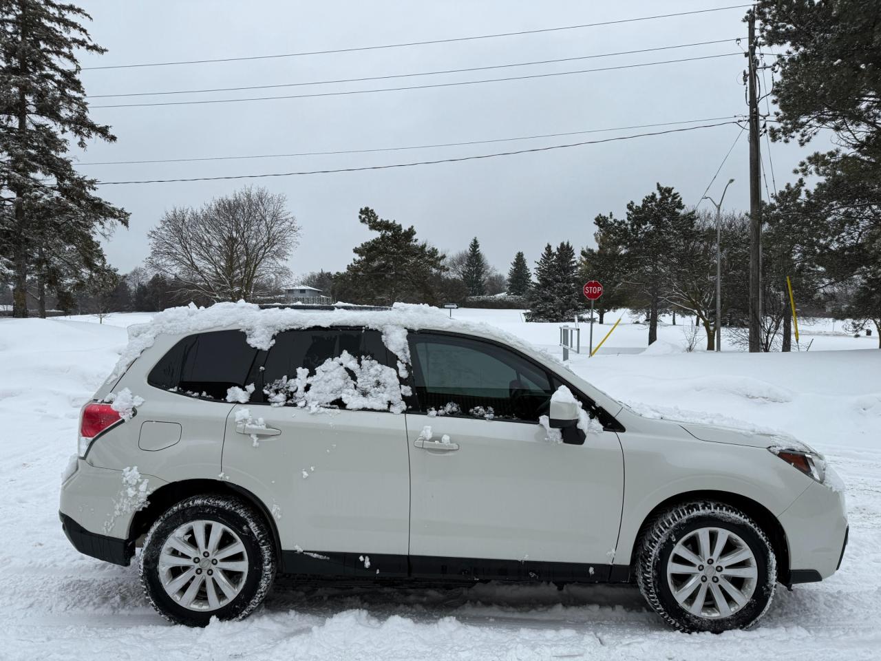 2017 Subaru Forester 2.5i Convenience (CVT) 4dr All-Wheel Drive Photo