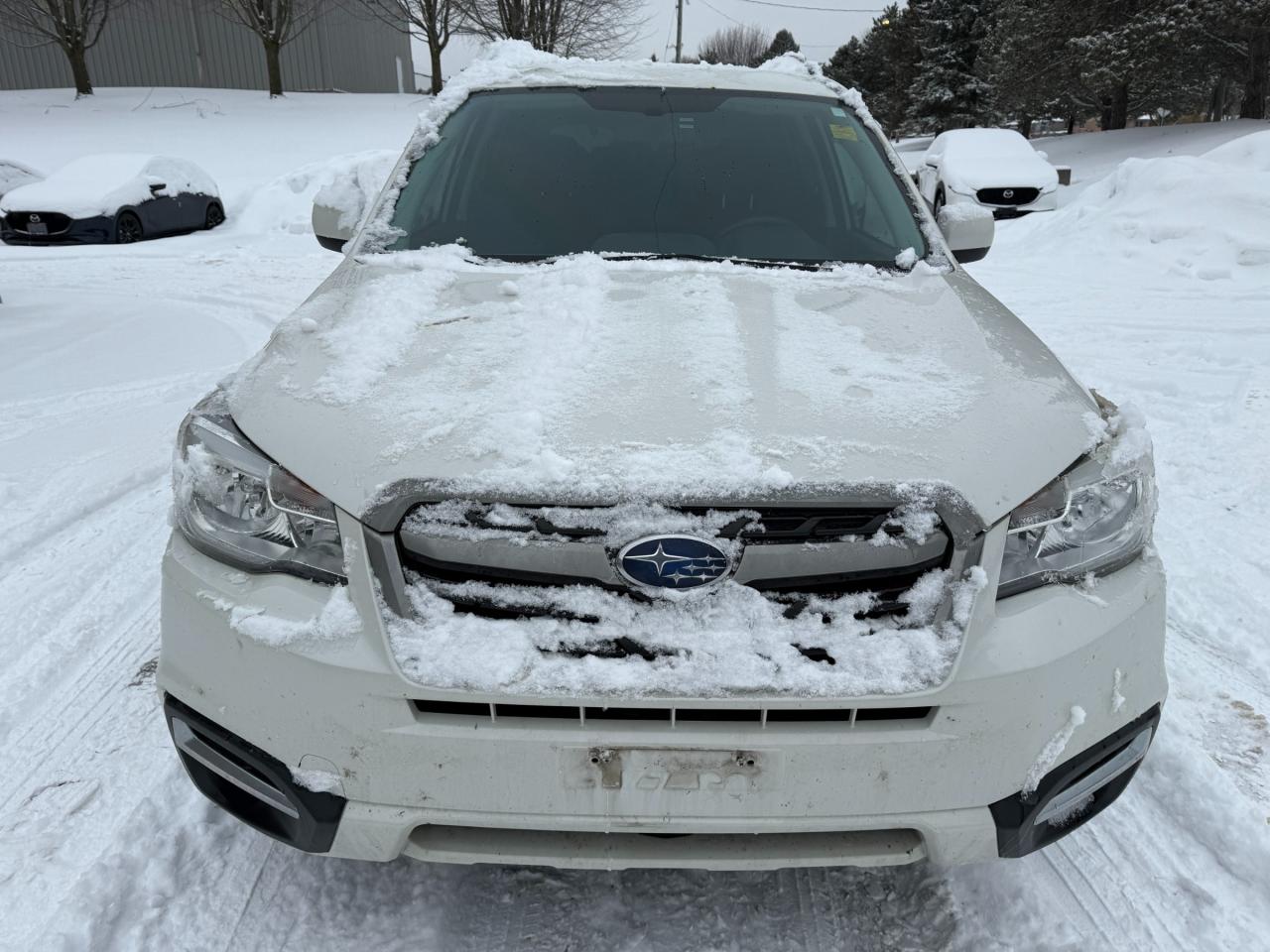 2017 Subaru Forester 2.5i Convenience (CVT) 4dr All-Wheel Drive Photo