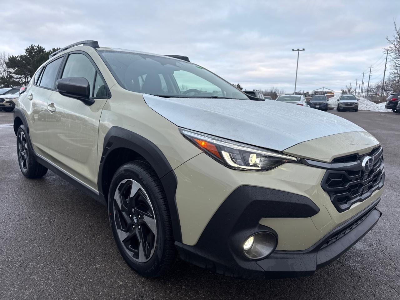 2026 Subaru Crosstrek Limited 4dr All-Wheel Drive Photo