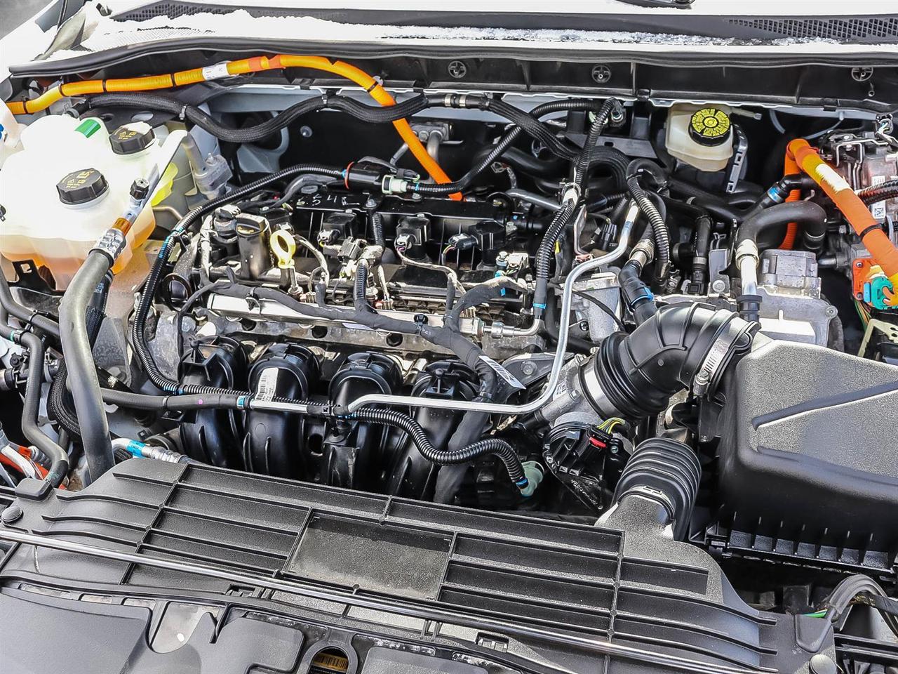 2023 Ford Escape ST-Line Select Photo