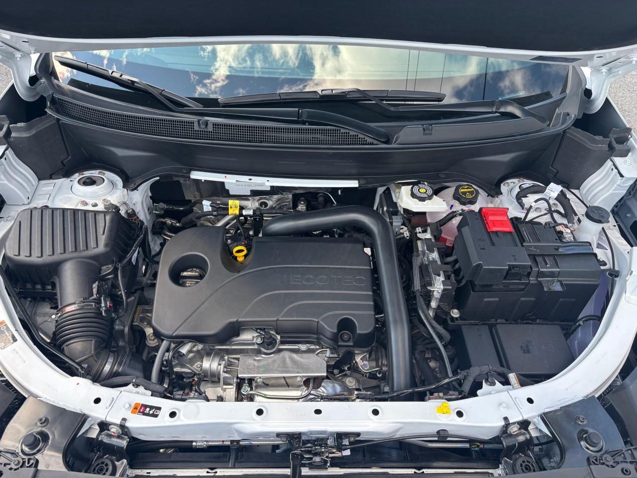 2026 GMC Terrain AWD Elevation Photo