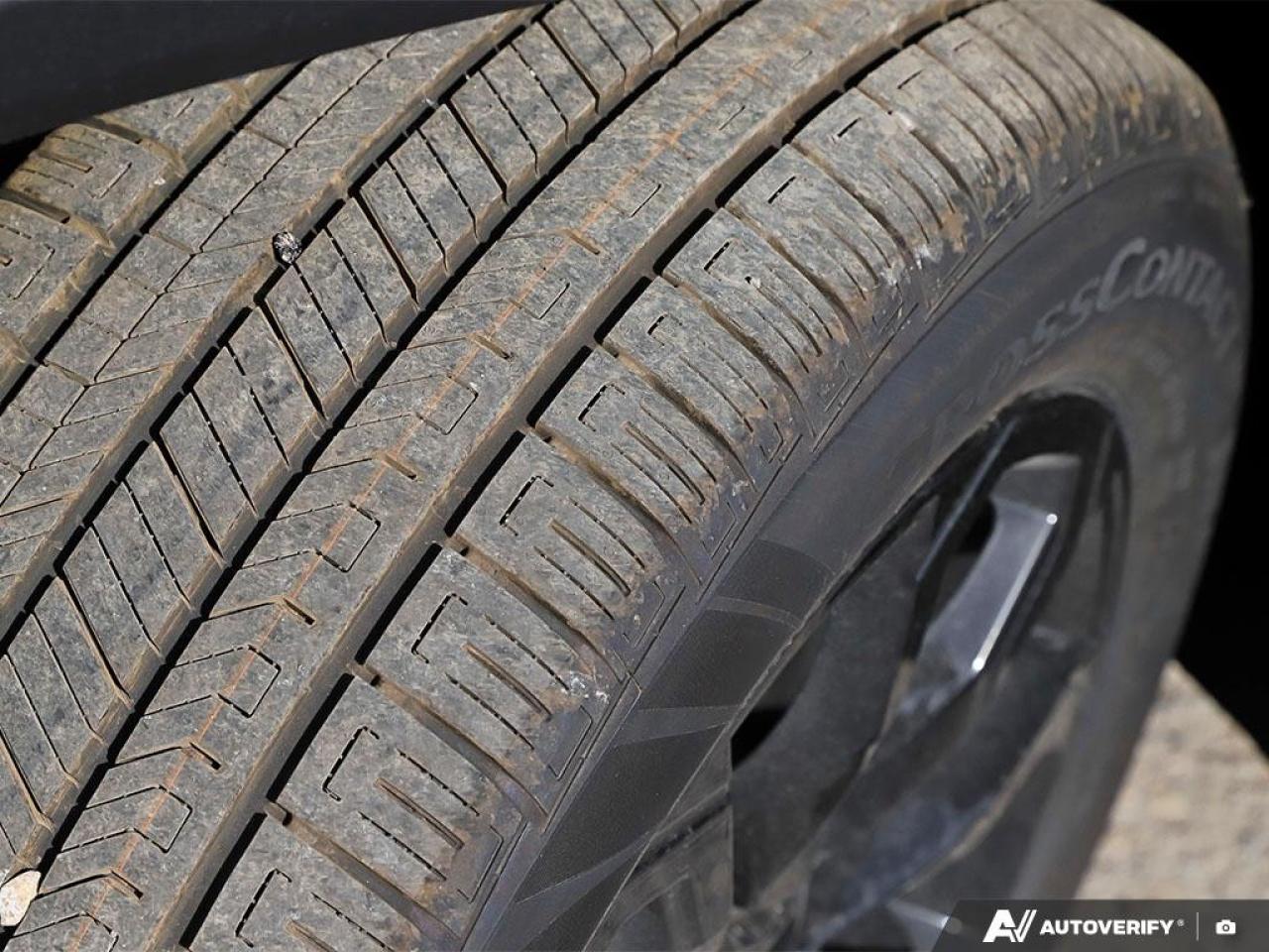 2026 GMC Terrain AWD Elevation Photo