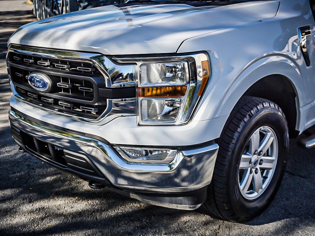 2022 Ford F-150  Photo3