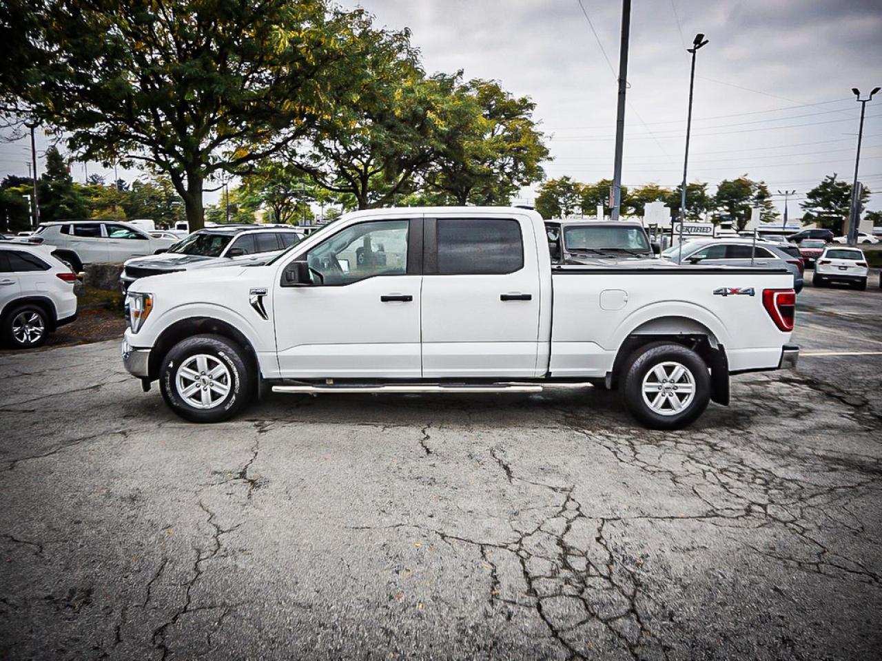 2021 Ford F-150  Photo