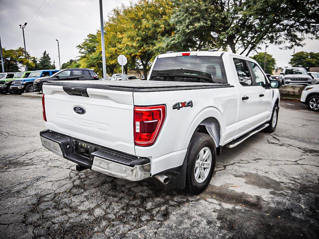 2021 Ford F-150  Photo