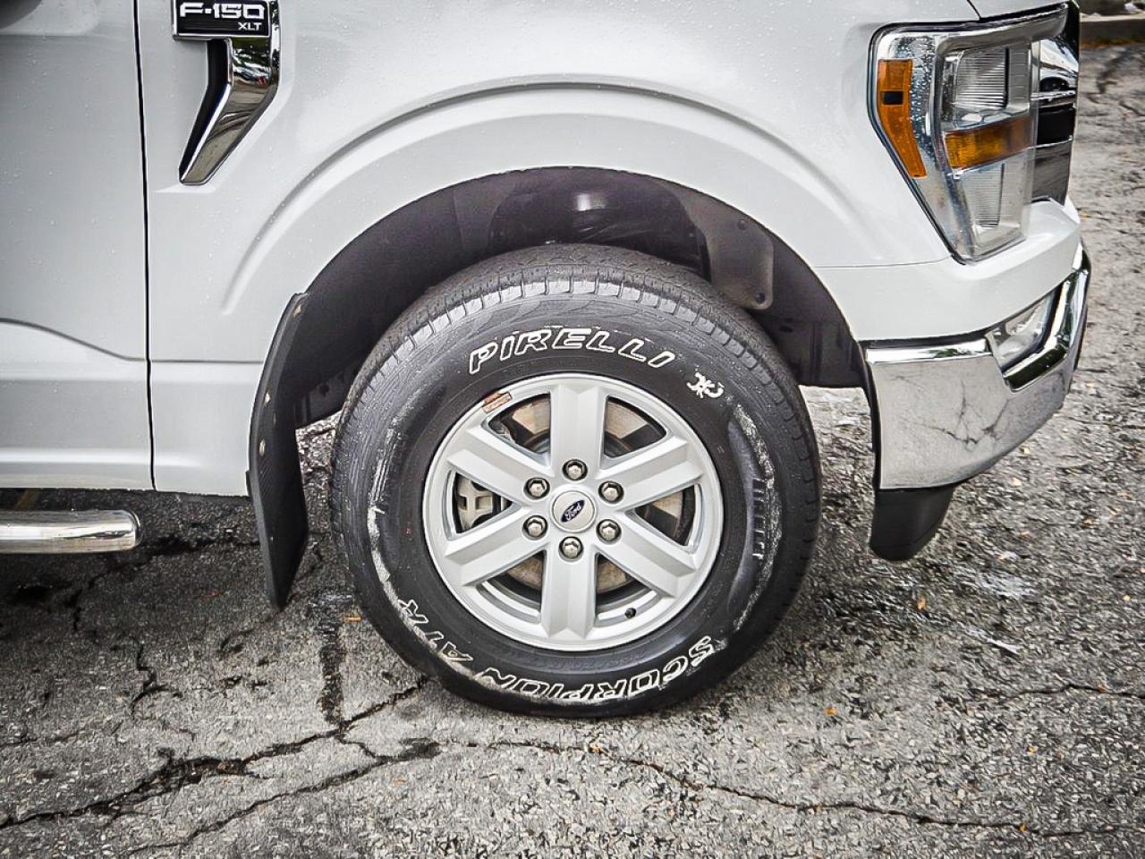 2021 Ford F-150  Photo