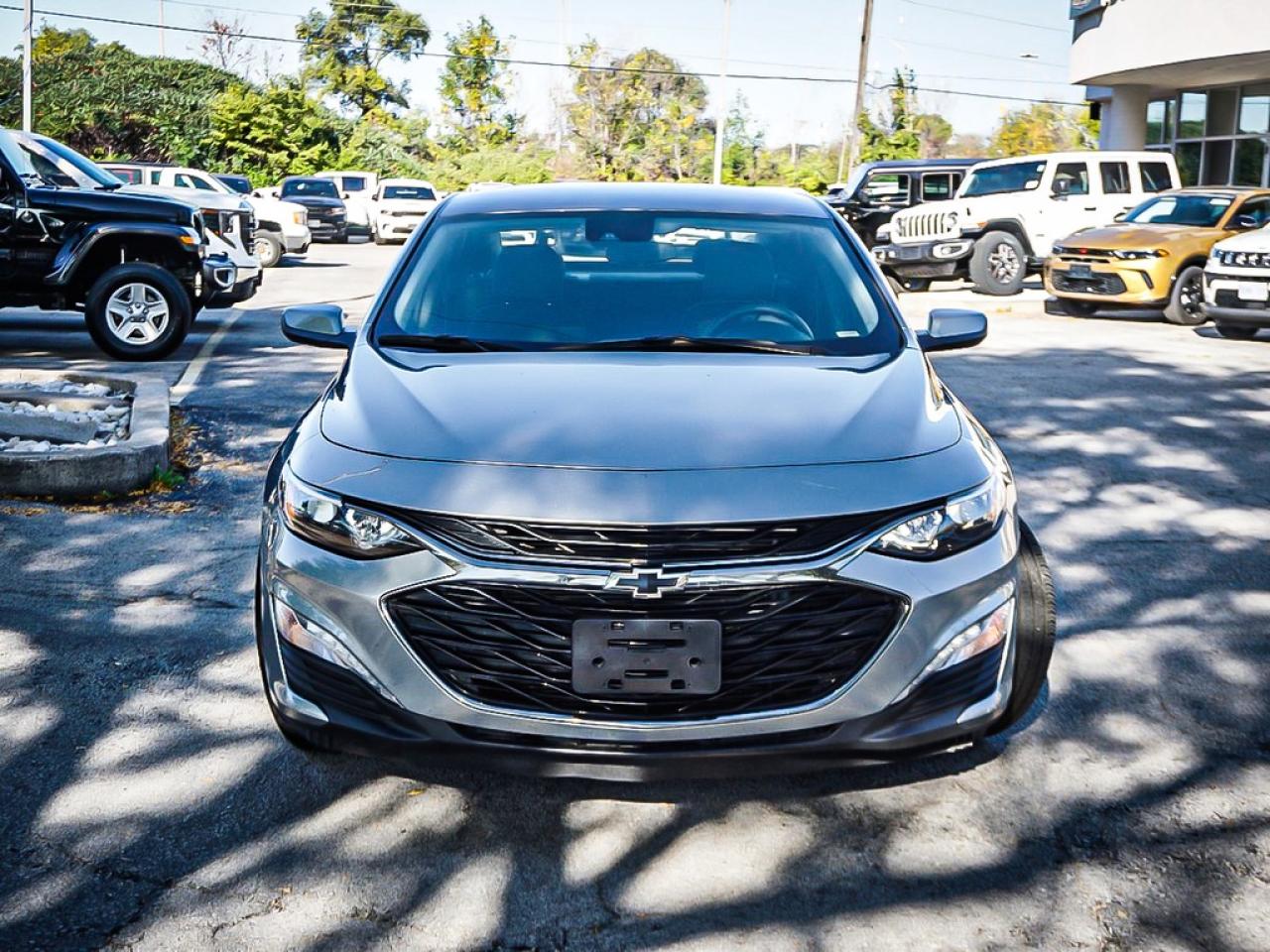 2024 Chevrolet Malibu  Photo