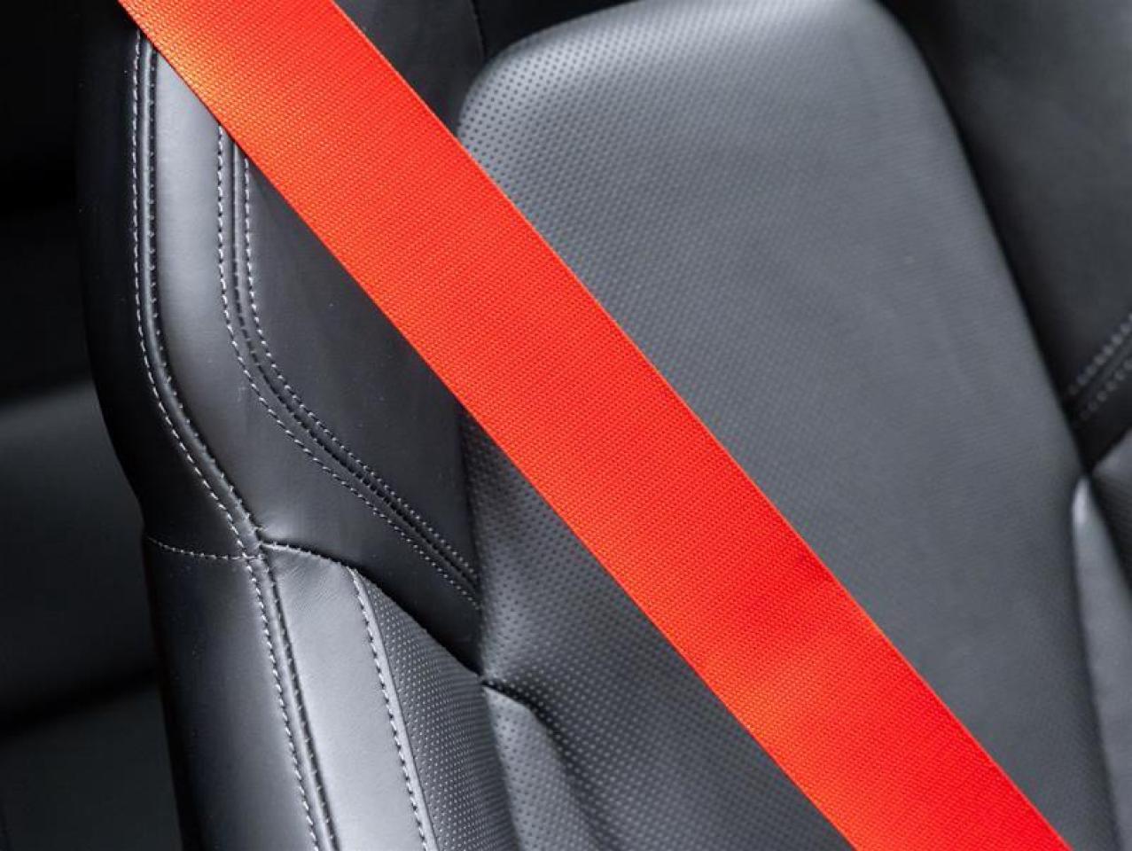 2023 Porsche 911  Photo