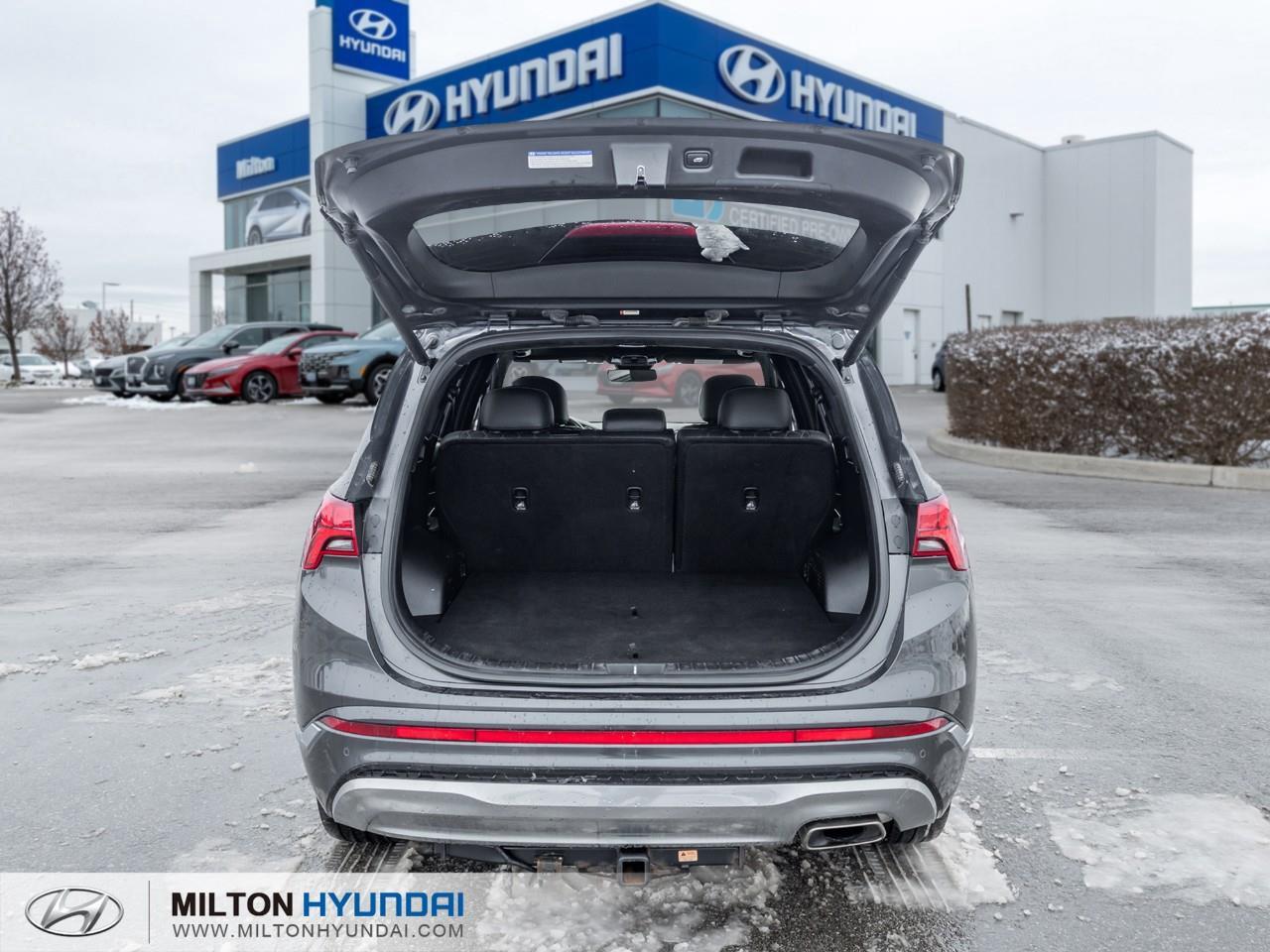 2022 Hyundai Santa Fe Ultimate Calligraphy 4dr All-Wheel Drive Photo