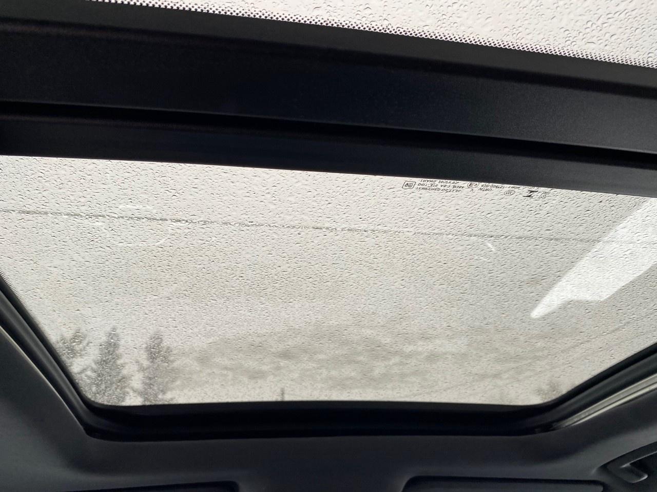 2025 GMC Terrain AWD Elevation Photo