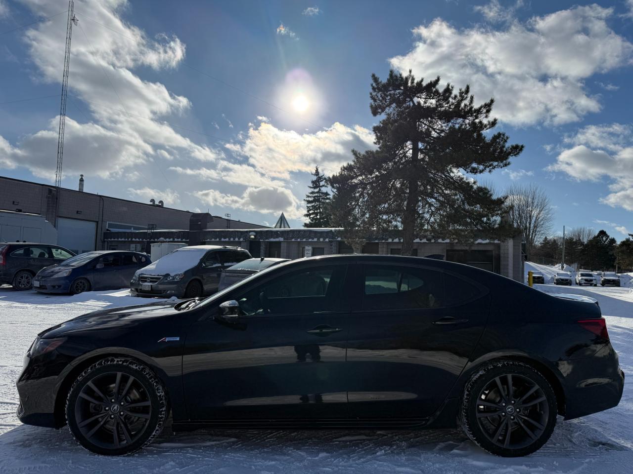 2020 Acura TLX Elite A-Spec 4dr SH-AWD Sedan Photo