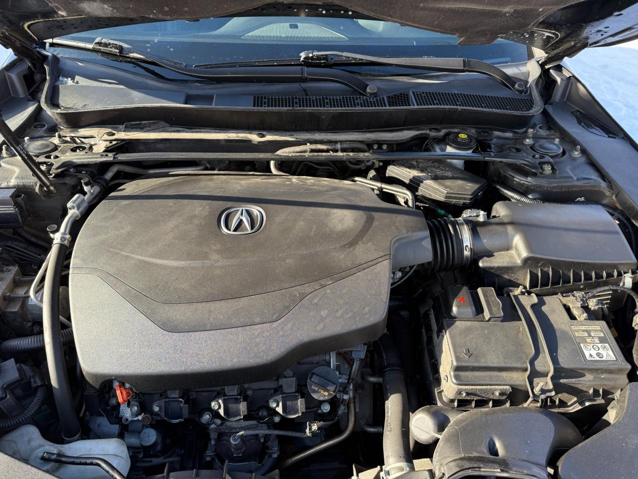 2020 Acura TLX Elite A-Spec 4dr SH-AWD Sedan Photo