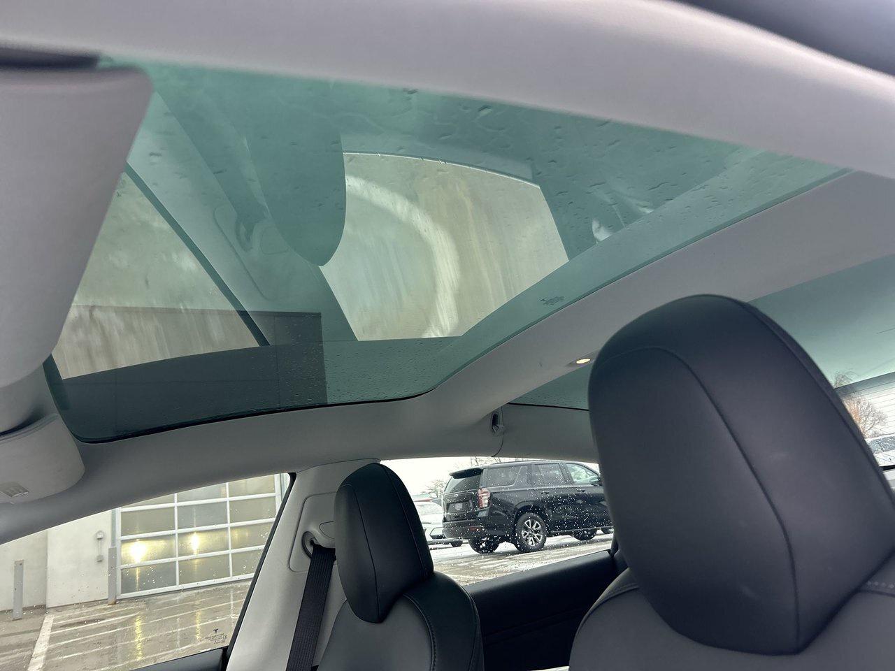 2019 Tesla Model 3 Performance 1-Owner Clean CarFax FSD Winter Tires Photo