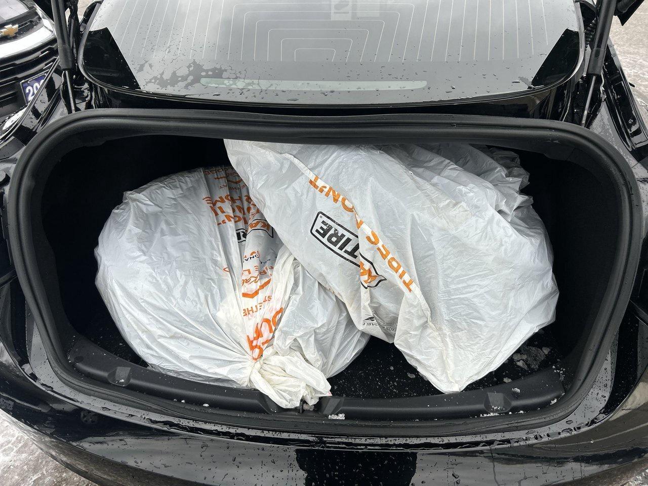 2019 Tesla Model 3 Performance 1-Owner Clean CarFax FSD Winter Tires Photo