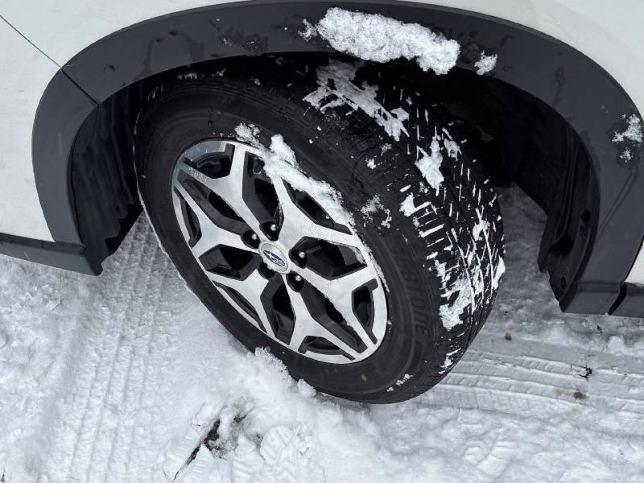 2023 Subaru Forester Touring l Moonroof l AWD l X-Mode l RCam l ACC Photo