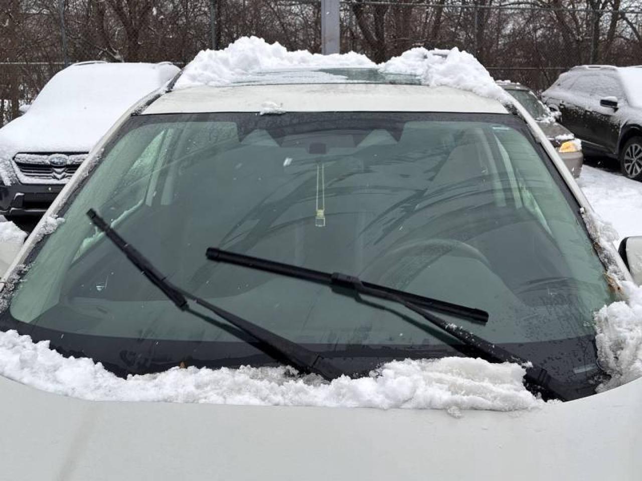 2023 Subaru Forester Touring l Moonroof l AWD l X-Mode l RCam l ACC Photo