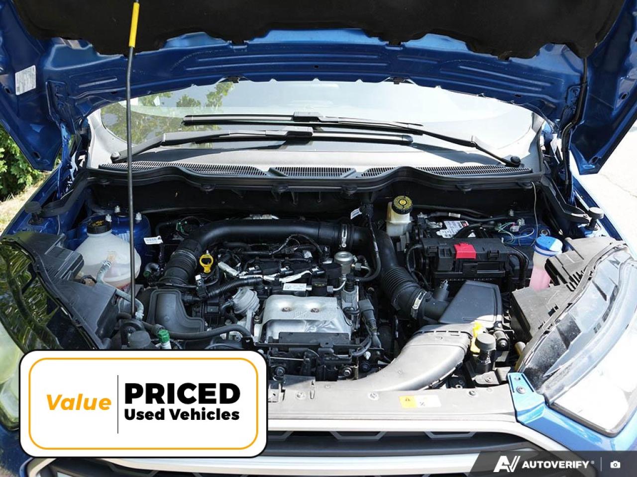 2019 Ford EcoSport  Photo