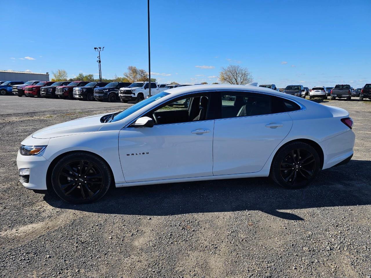 2024 Chevrolet Malibu 1LT 4dr Sedan Photo