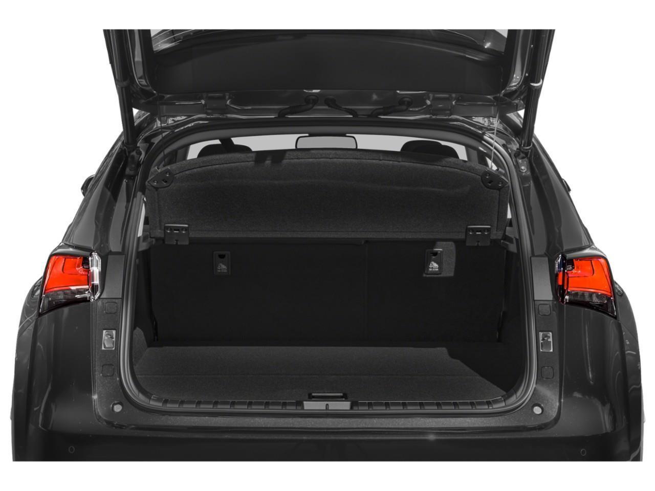 2021 Lexus NX 300  Photo