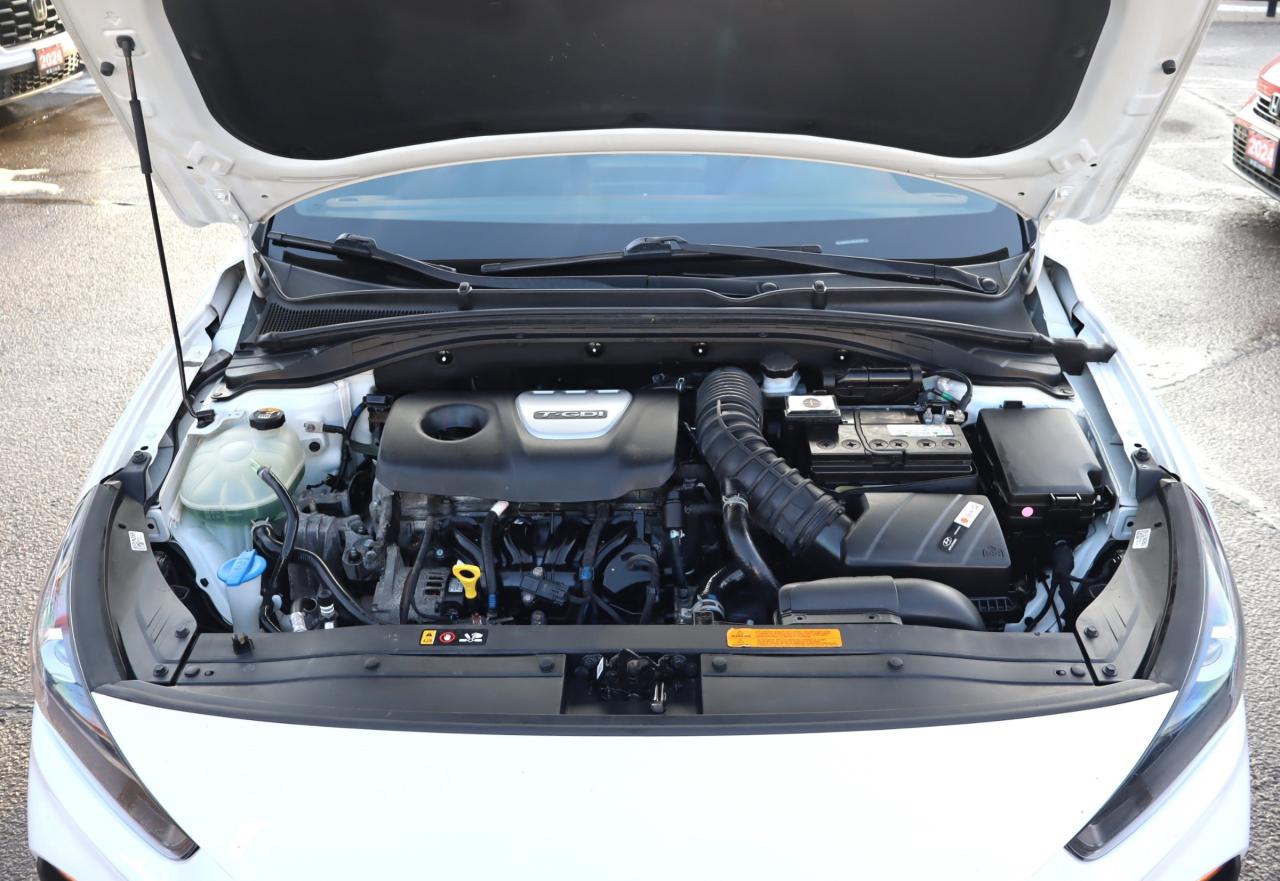 2019 Hyundai Elantra GT N Line Ultimate (DCT) 4dr Hatchback Photo